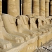 temple_karnak_lux_h_0037_egy1376.jpg